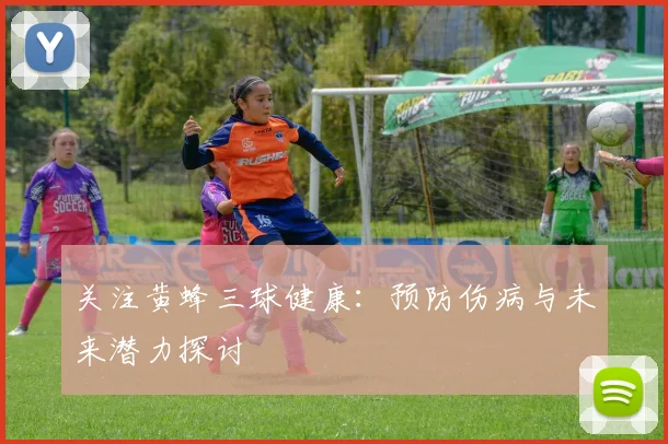 关注黄蜂三球健康:预防伤病与未来潜力探讨