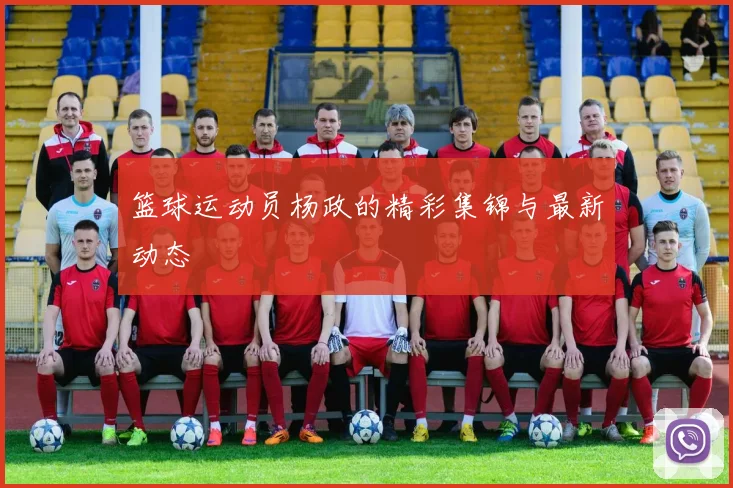 篮球运动员杨政的精彩集锦与最新动态